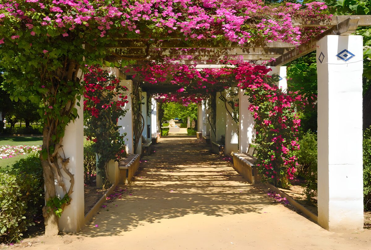 TP59809: Bloemenpaviljoen in de Zomerzon