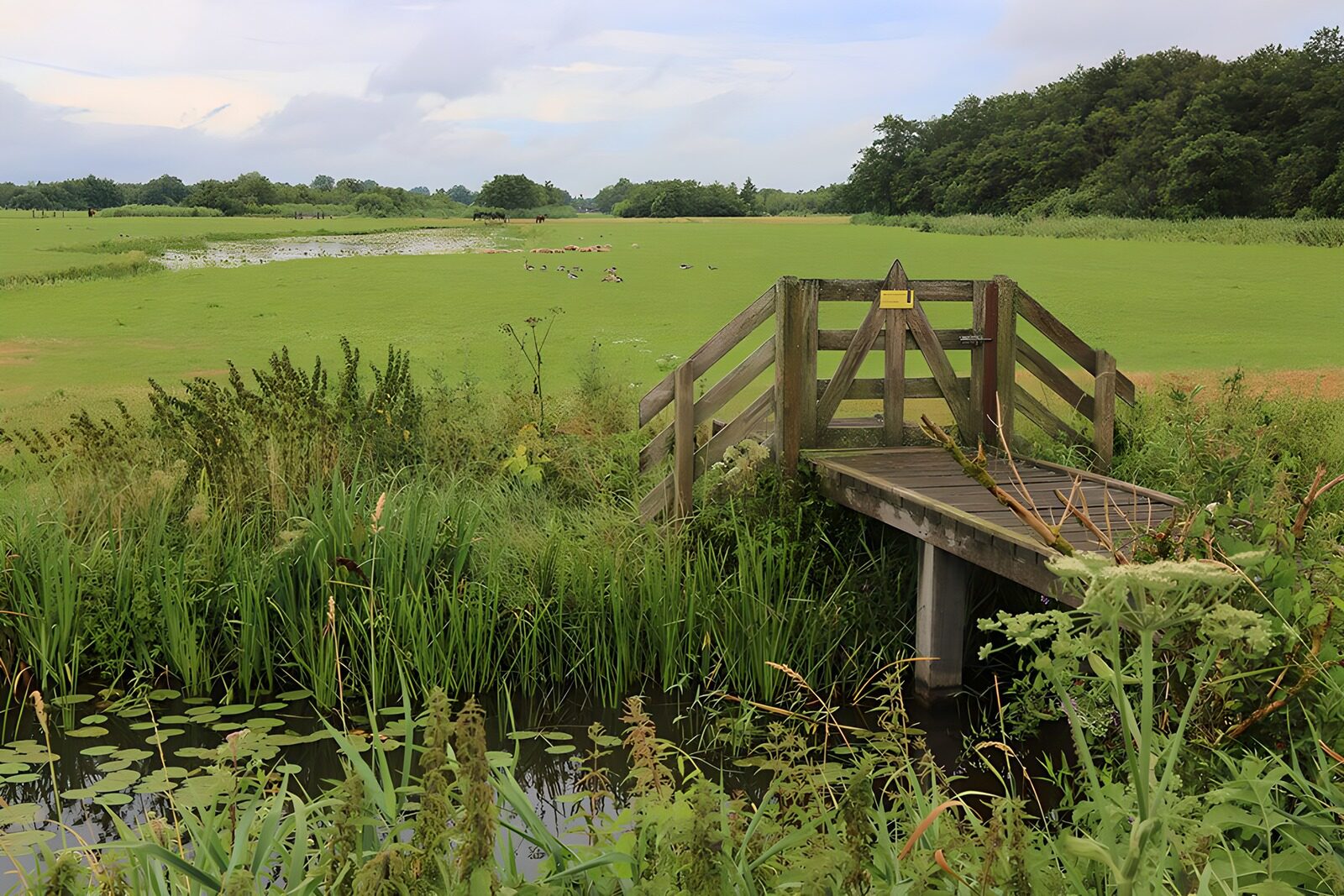 TP17402: Bruggetje over sloot met hekje naar weiland 1