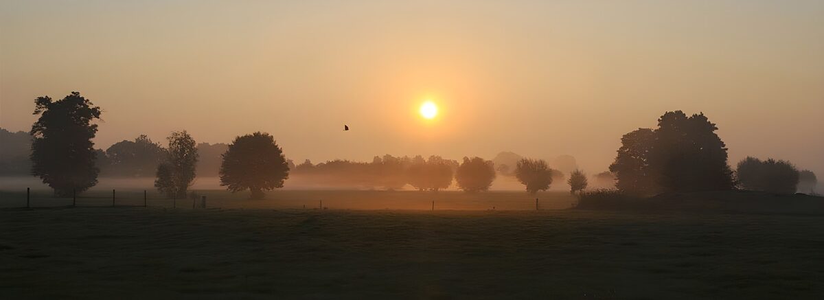 Mistig landschap