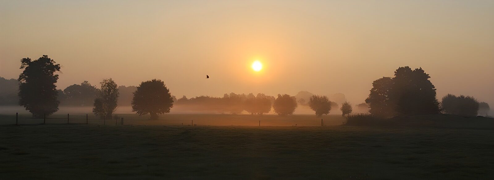 TP93867: Mistig landschap