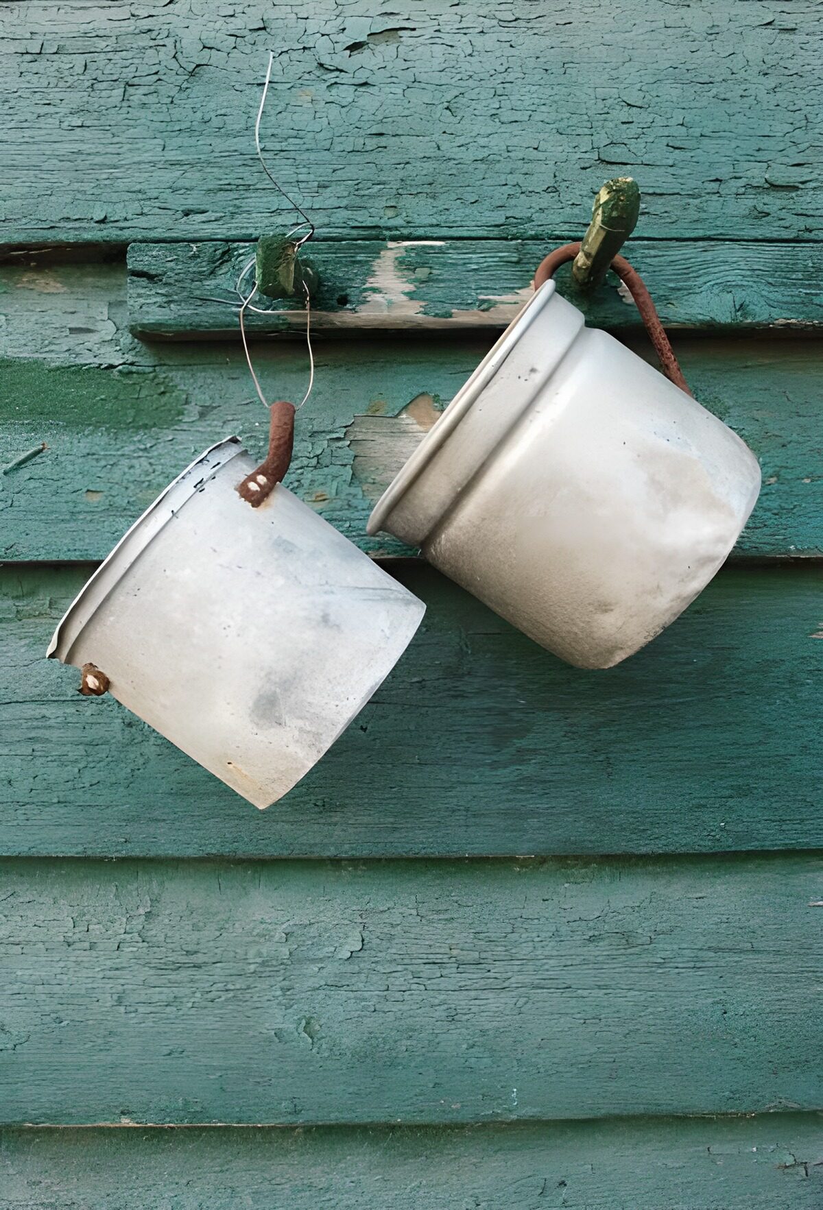 TP48630: Twee potten hangend aan groene muur