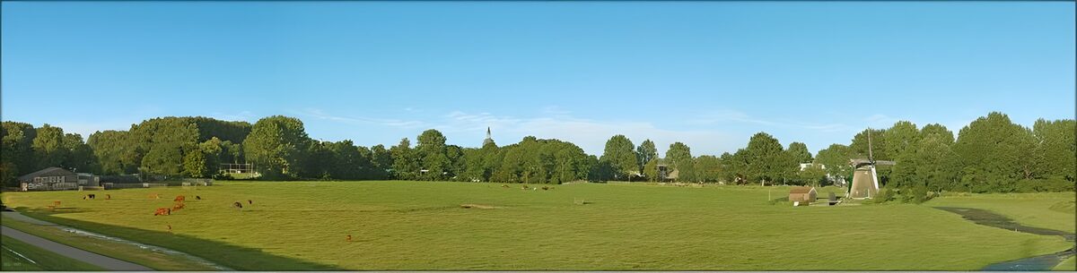 Hollandse Graslandschappen 7