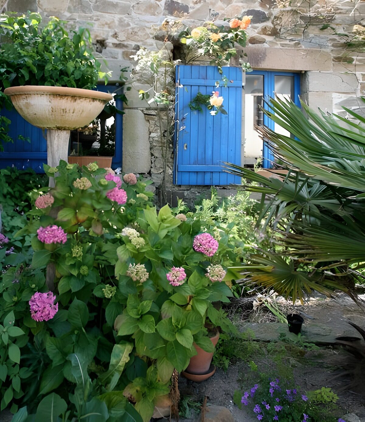 TP67233: Oude Franse muur met blauwe luikjes diverse bloemen en planten versie 2