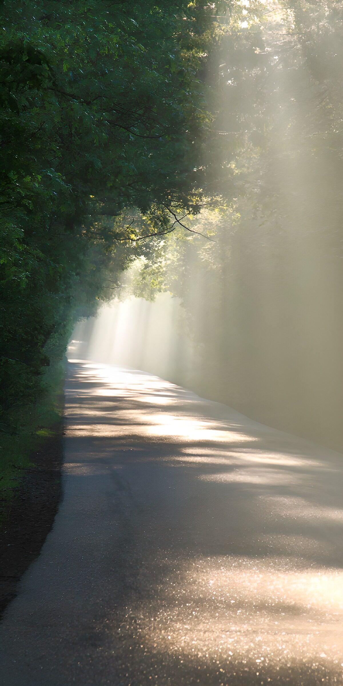 Stralend licht op een stille weg