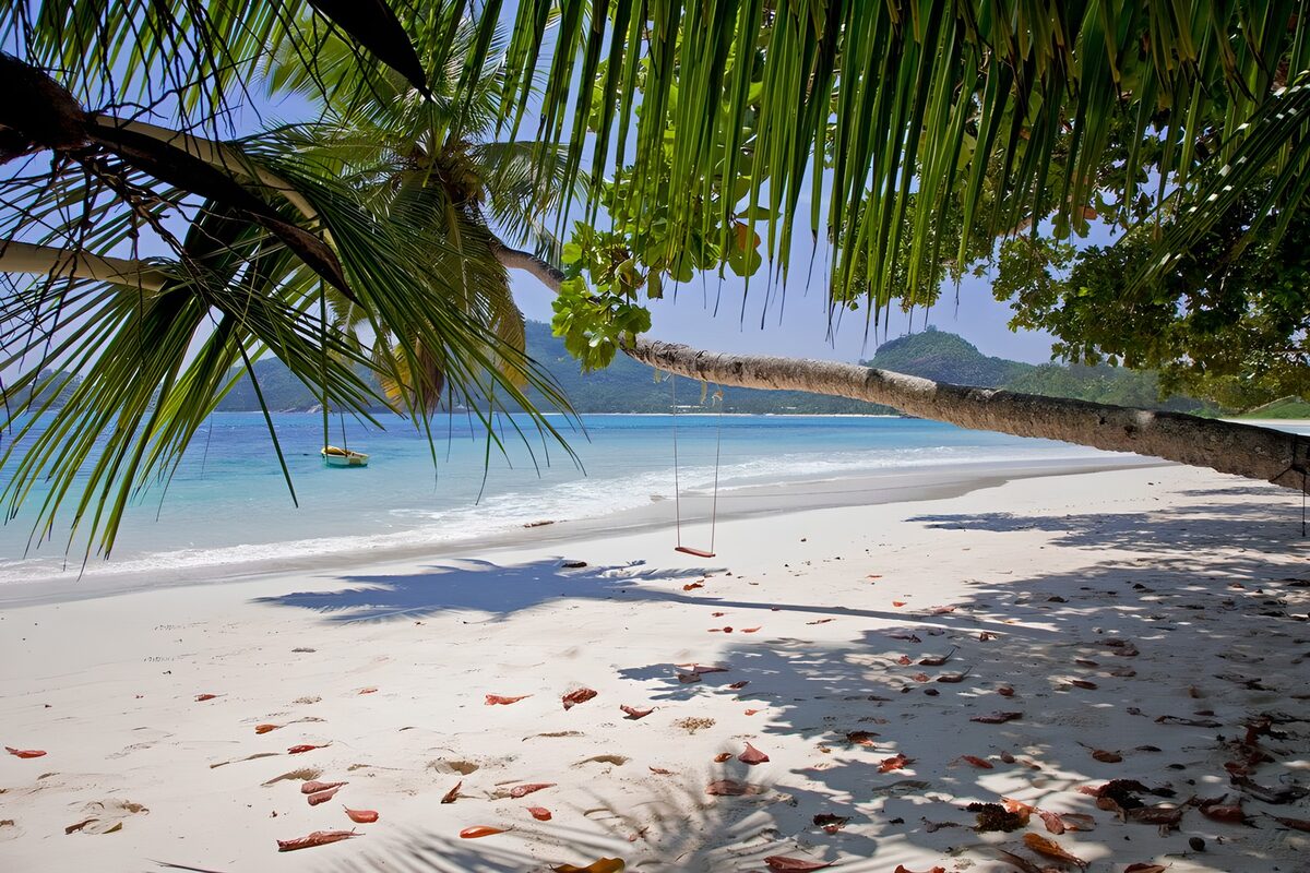 TP38771: Tropisch strand met hangmat