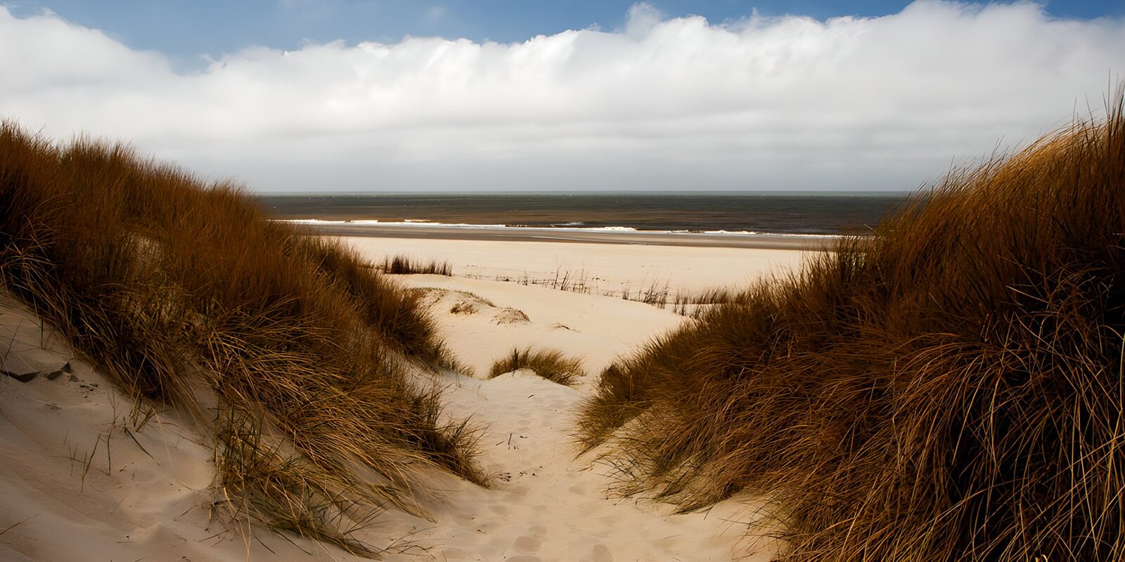 TP89575: Zandduinen bij de Zee