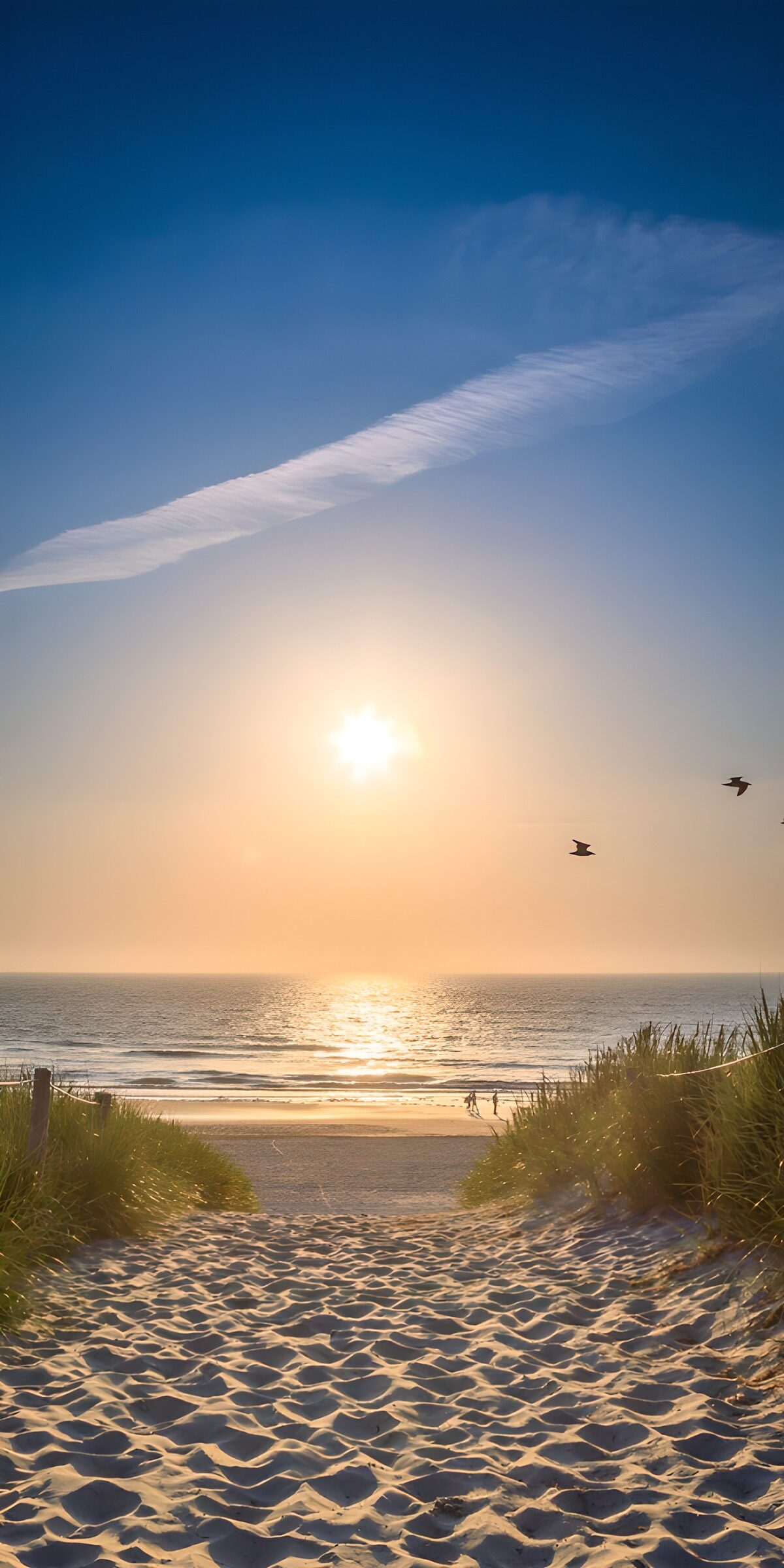 TP97364: Duinpad ondergaande zon