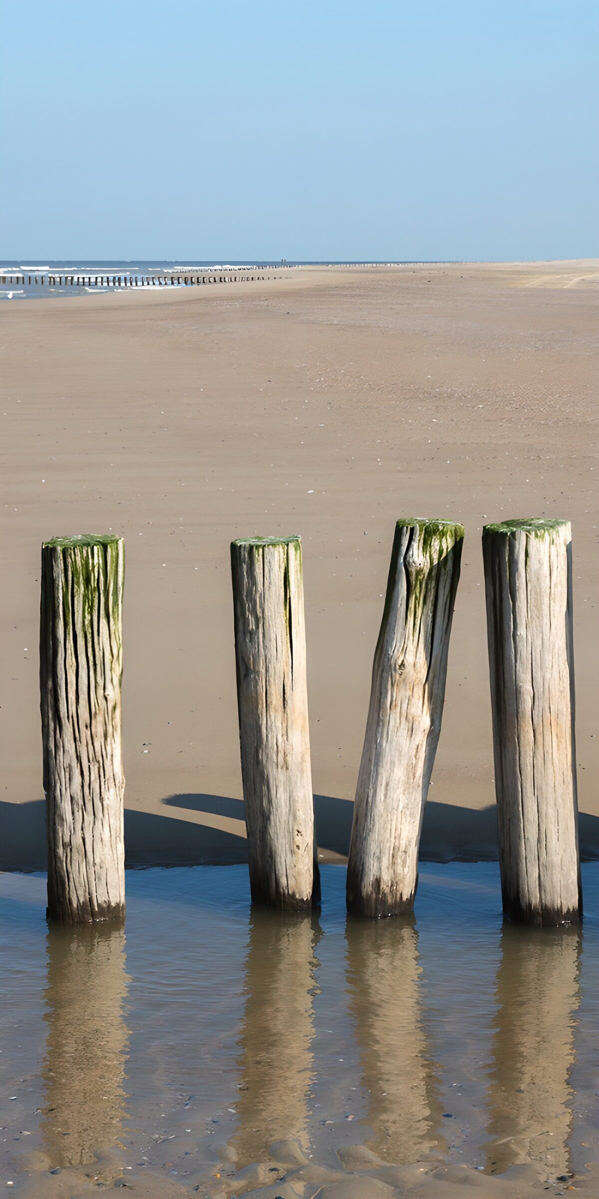 TP10253: Houten palen aan het strand