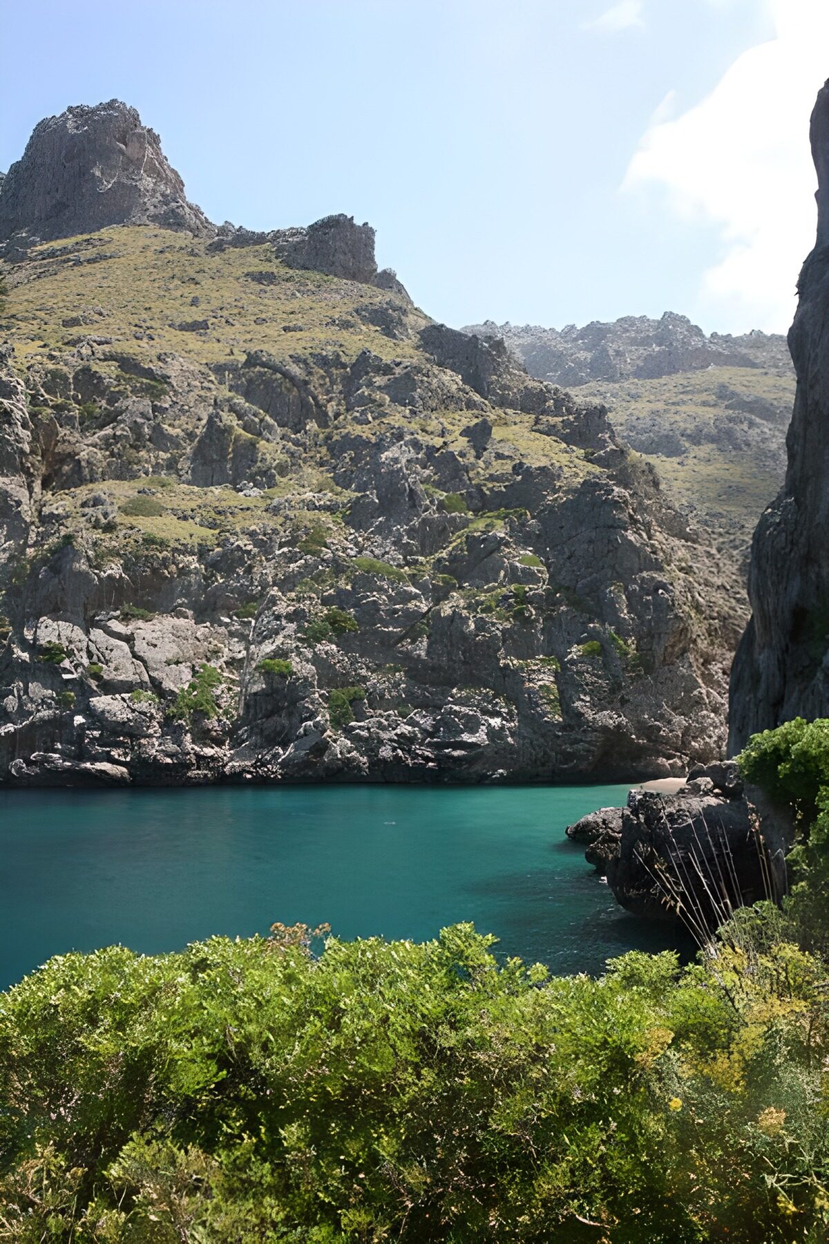 Berg aan rivier met bossen 1