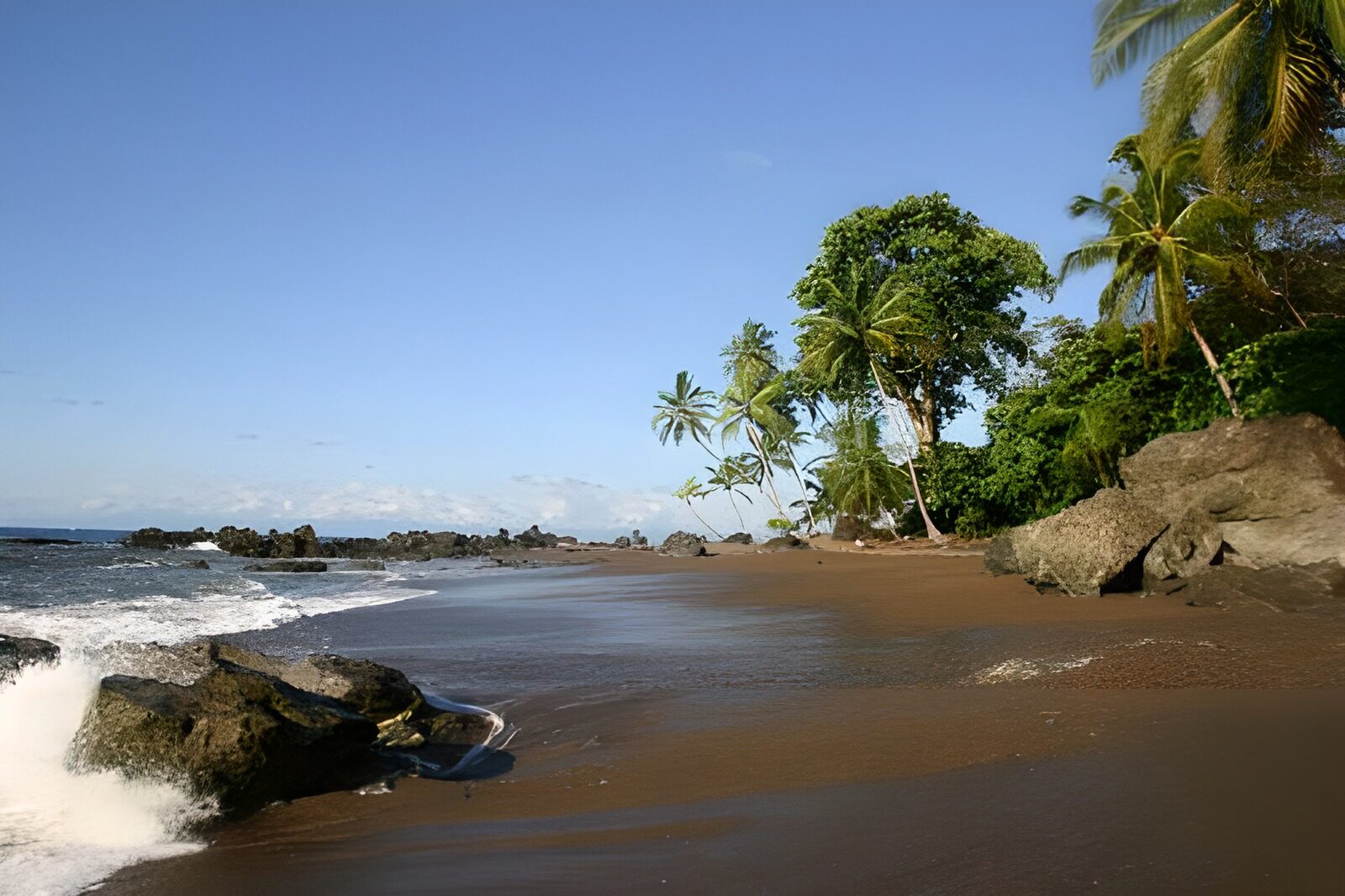 TP28127: Palmbomen strand op Costa Rica versie 2