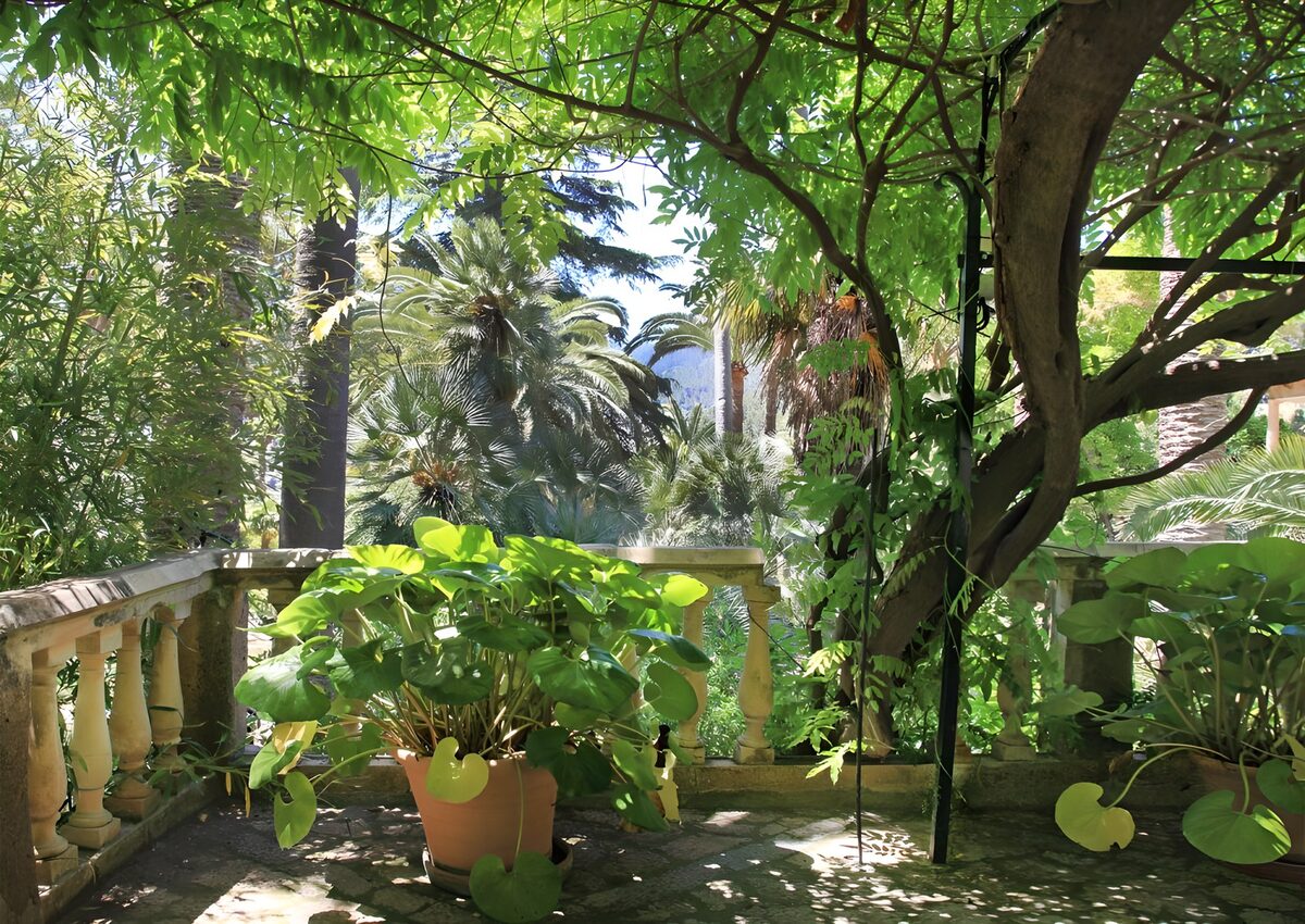 Luxe tuin met weelderige planten