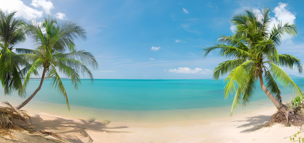 TP89780: Tropisch paradijs aan het strand