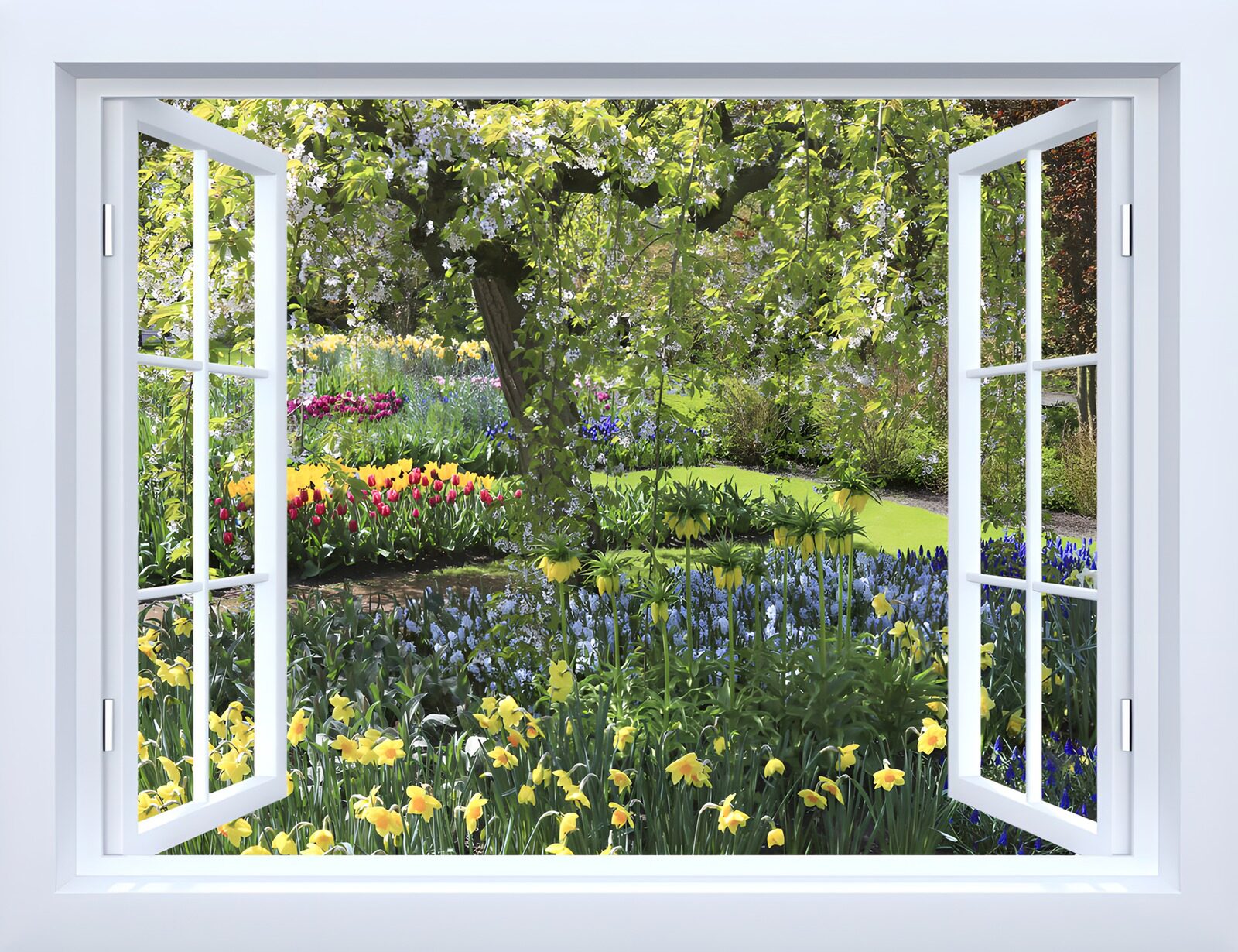 TP70220: Uitzicht op een bloeiende tuin