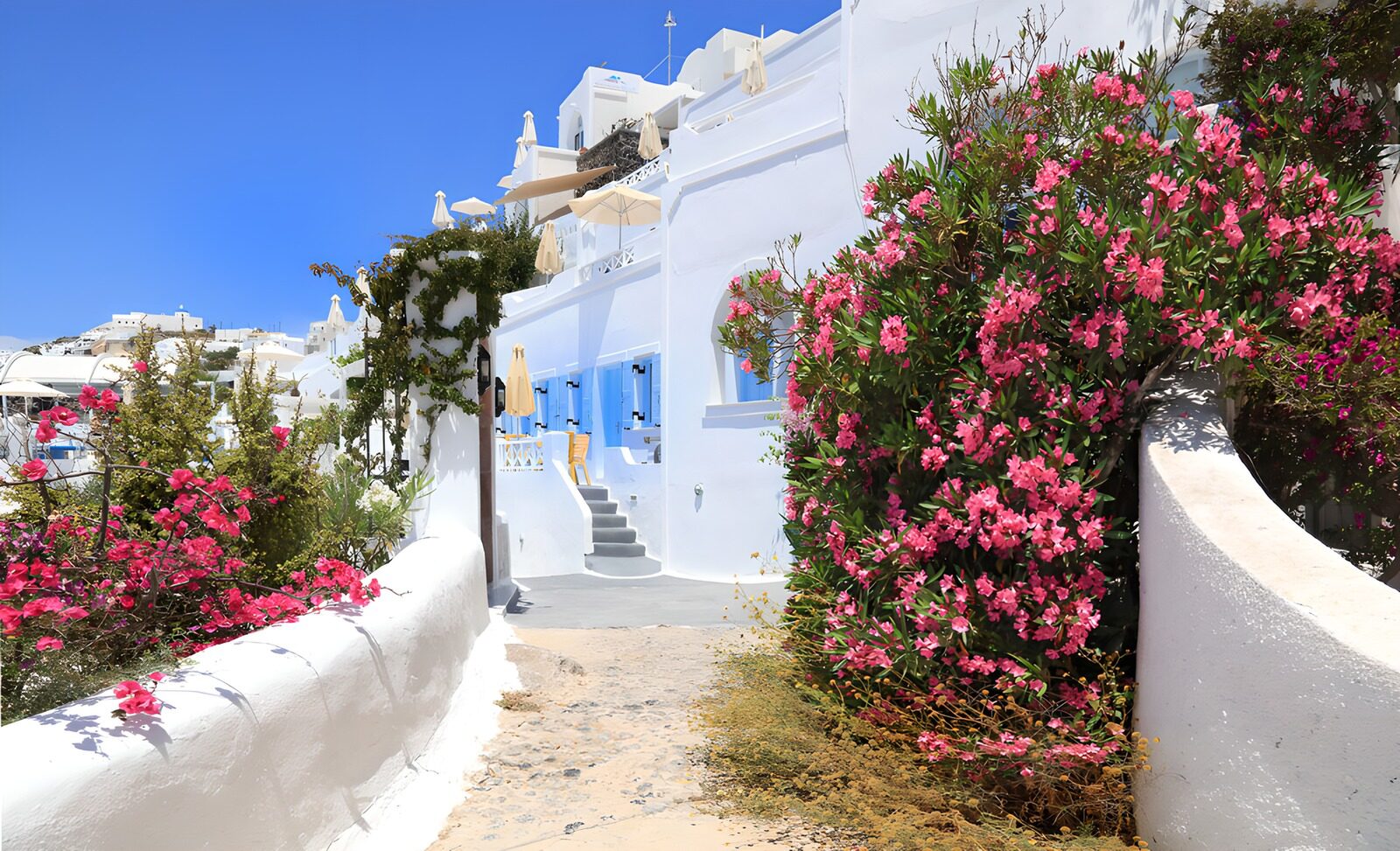 TP24600: Bloemrijke straat in Santorini