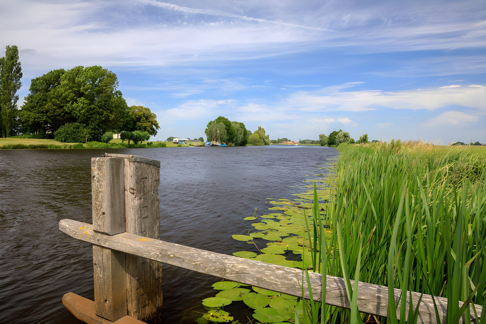 TP84282: Rustige rivier met riet en waterlelies