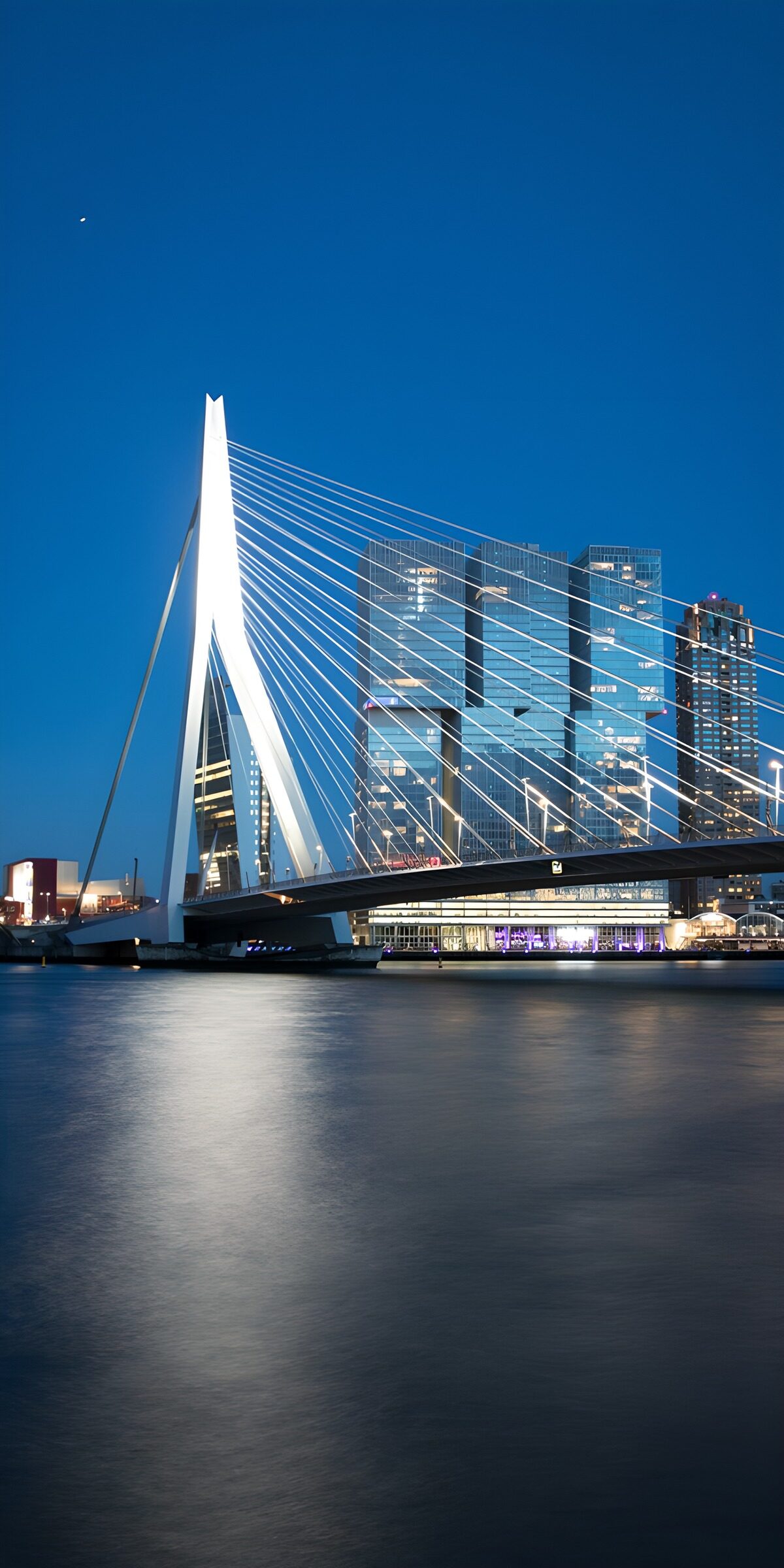 Erasmusbrug 3