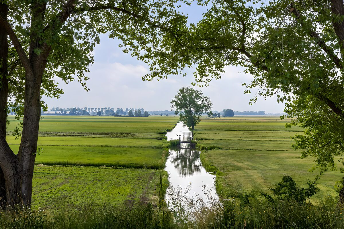 TP54444: Rustig landschap met water en groen