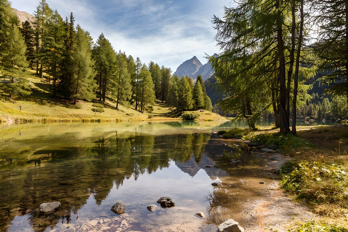 Prachtig Bergmeer in het Zomerlicht