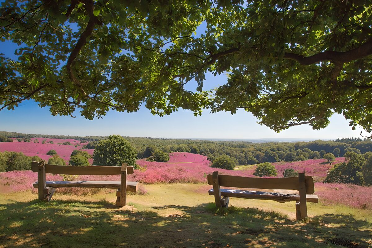 Bankjes met uitzicht op de heide