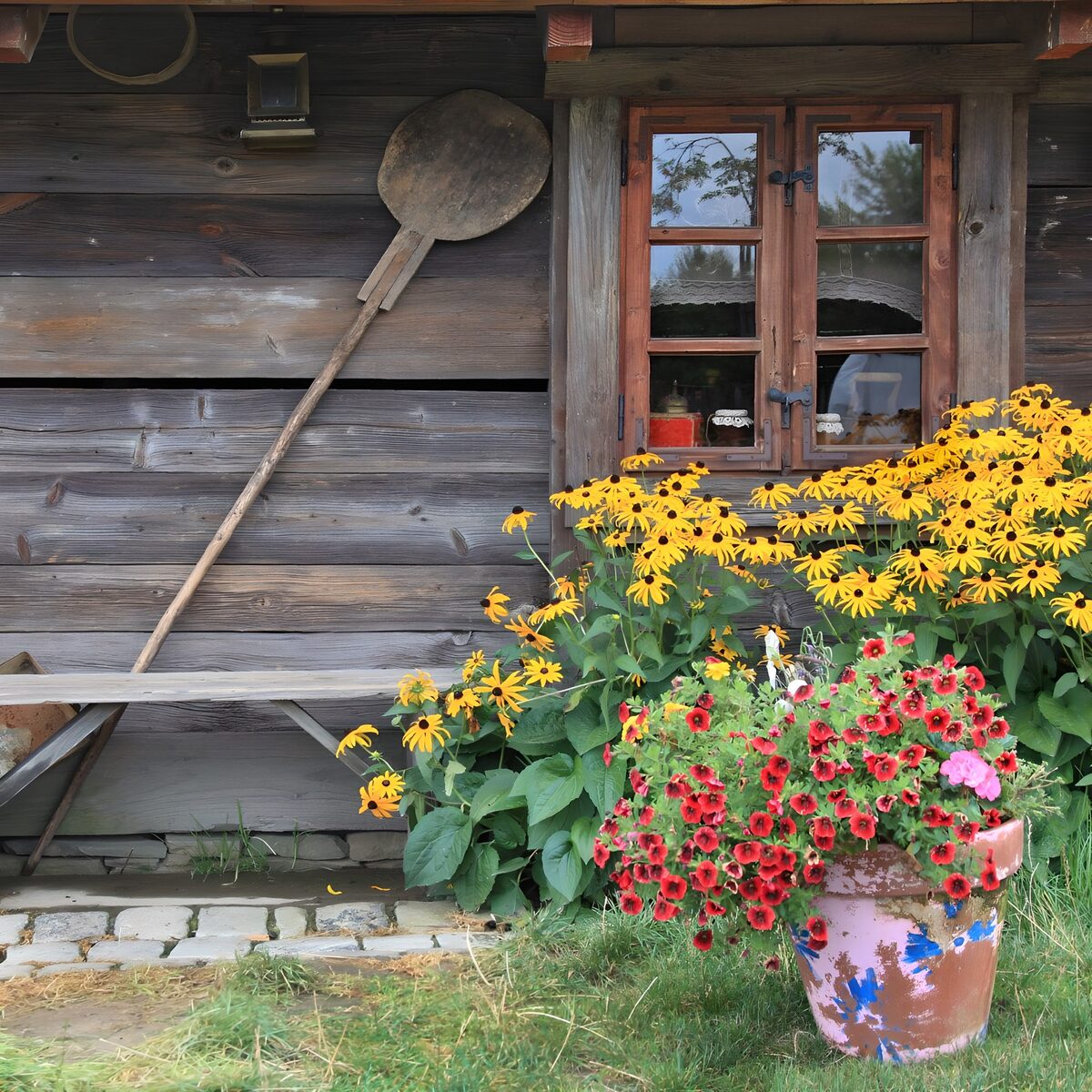 Landelijk huis met bloemen en gereedschap