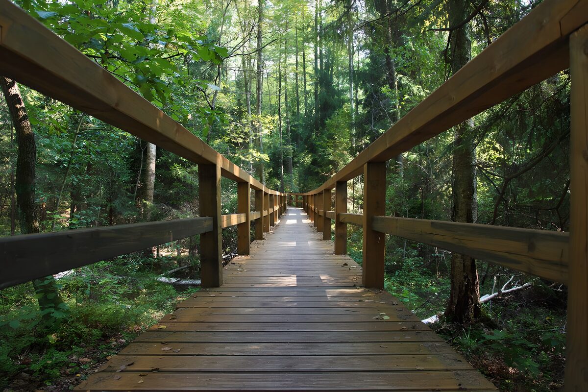 Mooi houten pad door het bos