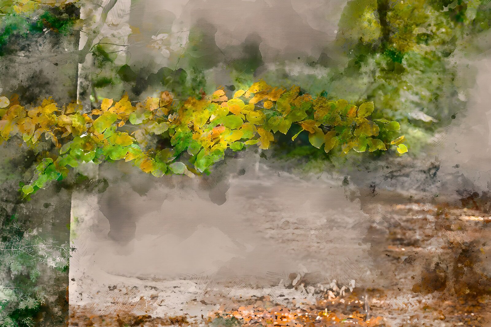 TP21645: Herfstkleuren in het bos