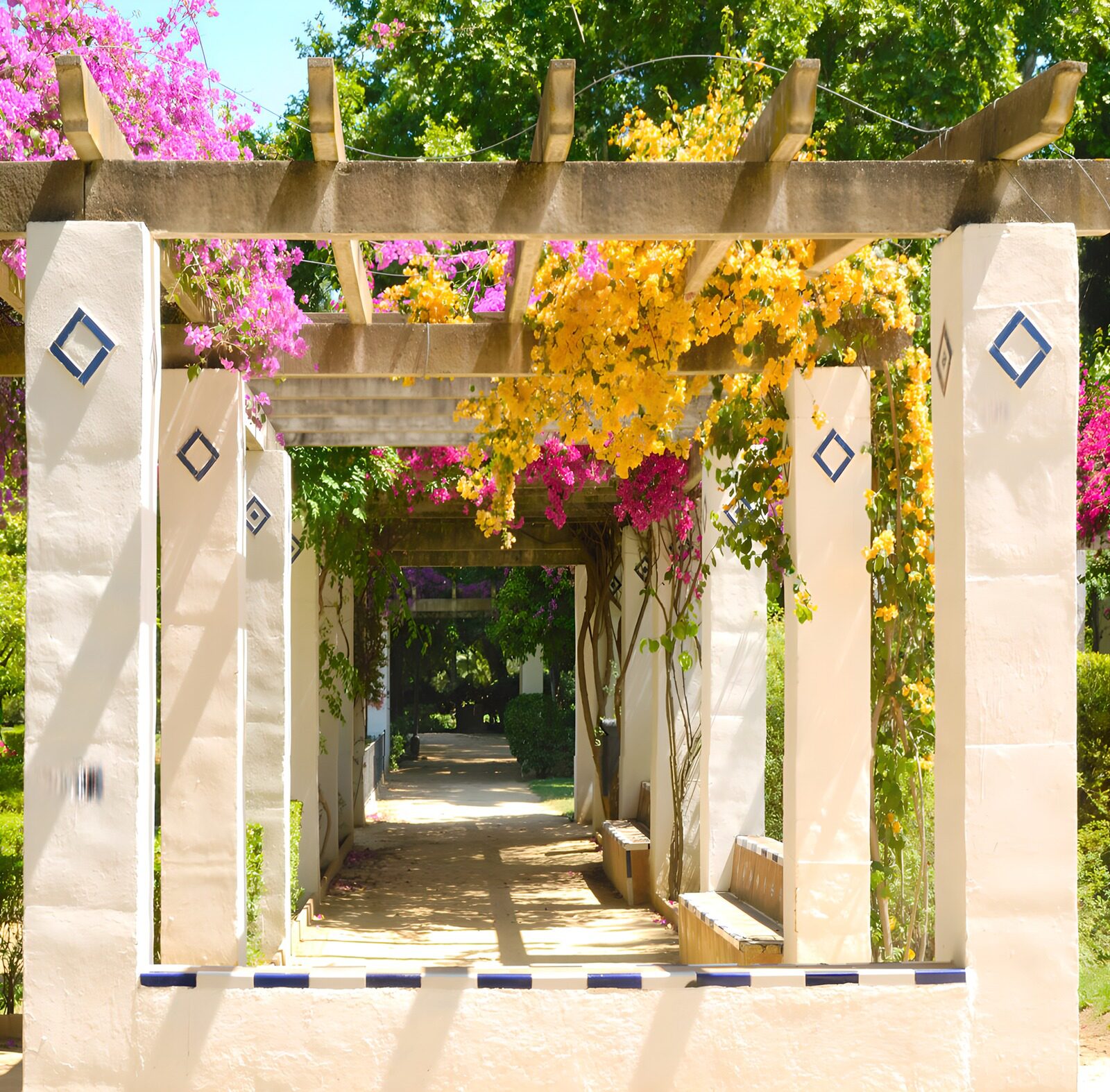 TP62441: Pergola begroeid met Bougainville in diverse kleuren.