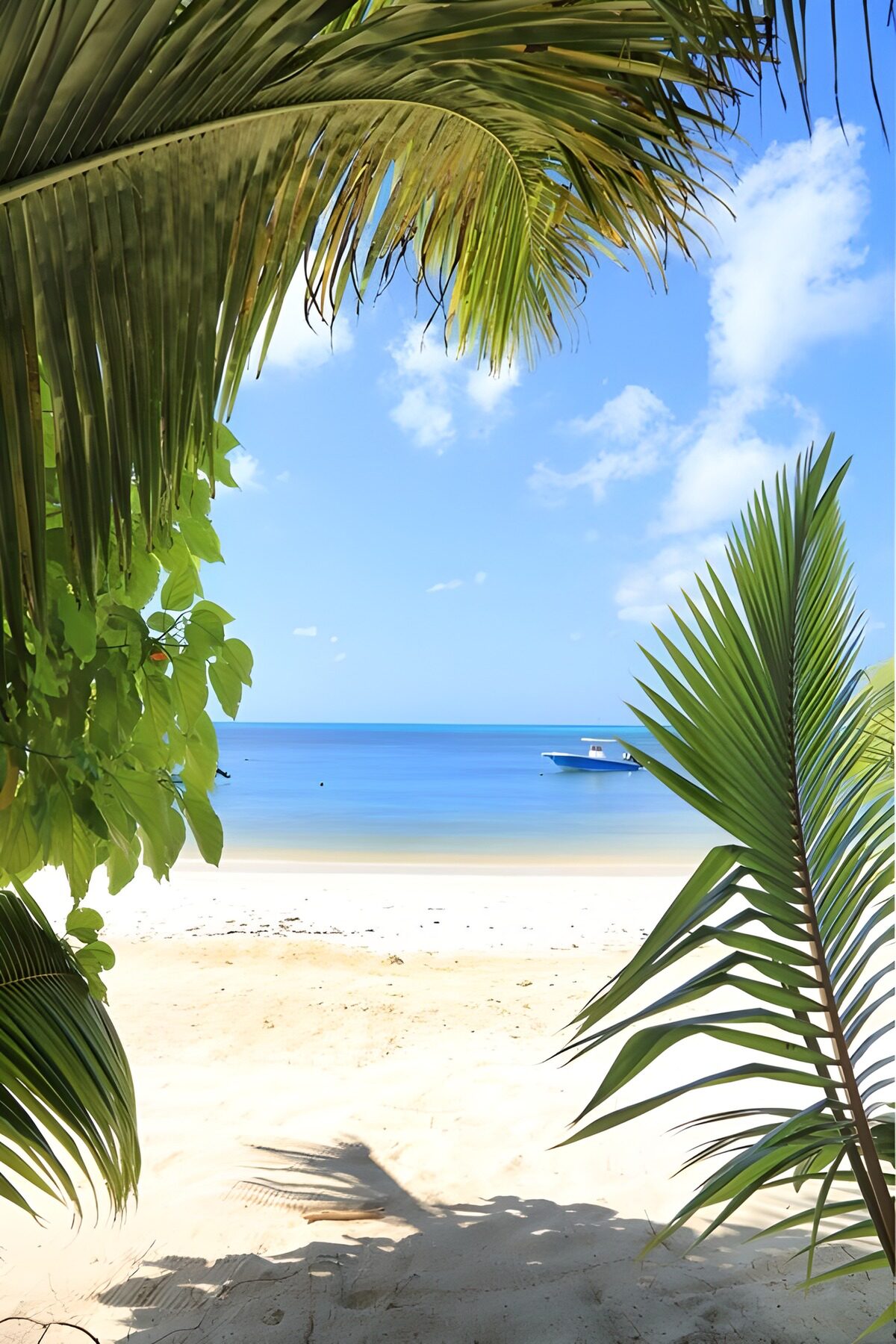 Paradijselijk Strandzicht met Palmbomen