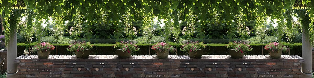 TP92643: Panorama muurtje met Pergola, zuilen en bloempotten