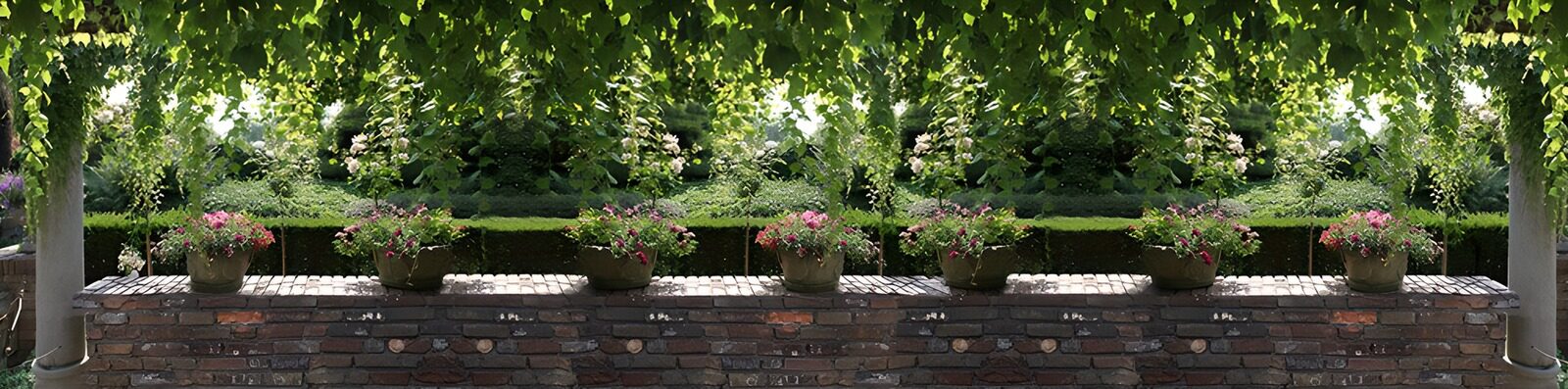 TP92643: Panorama muurtje met Pergola, zuilen en bloempotten