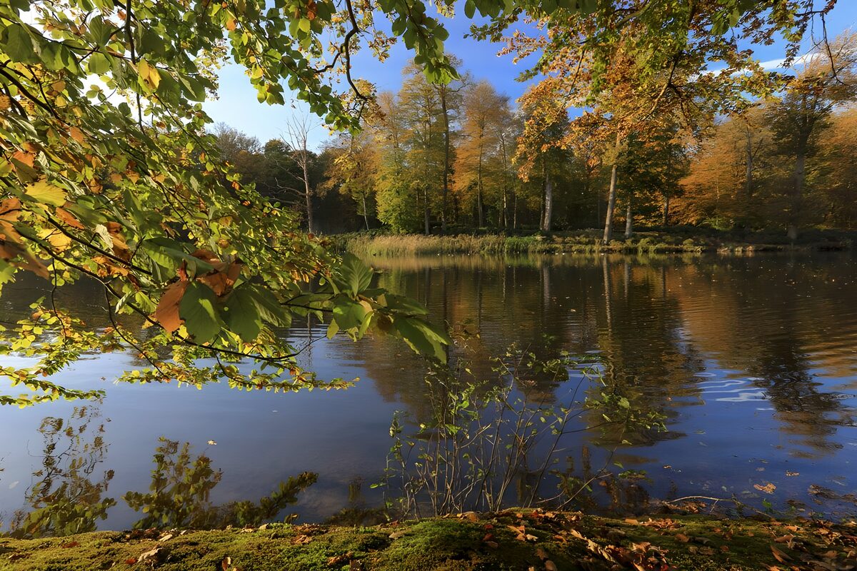 Vijver bij Kasteel Broekhuizen in Leersum 2