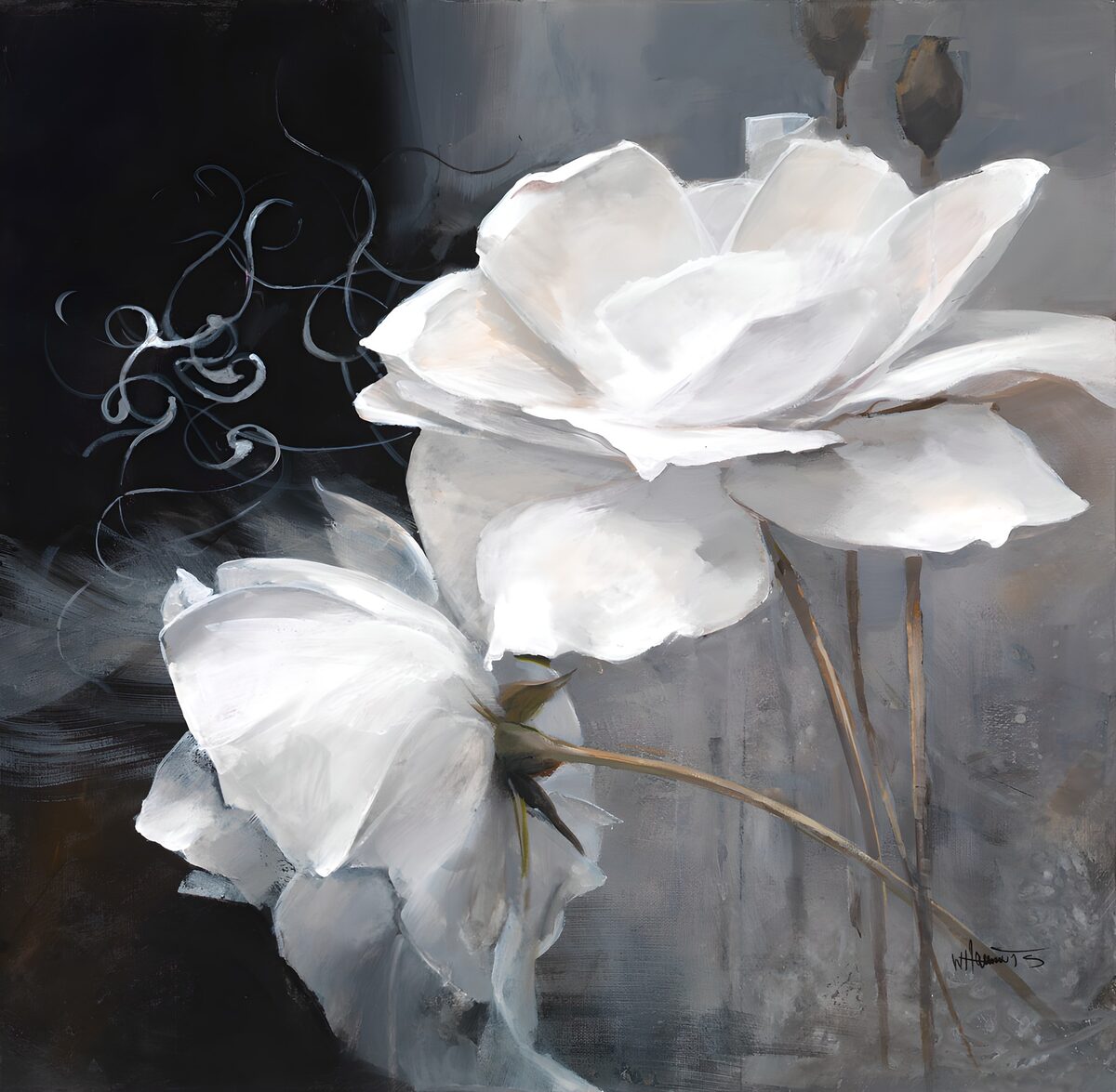 Elegante Witte Rozen op Donkere Achtergrond