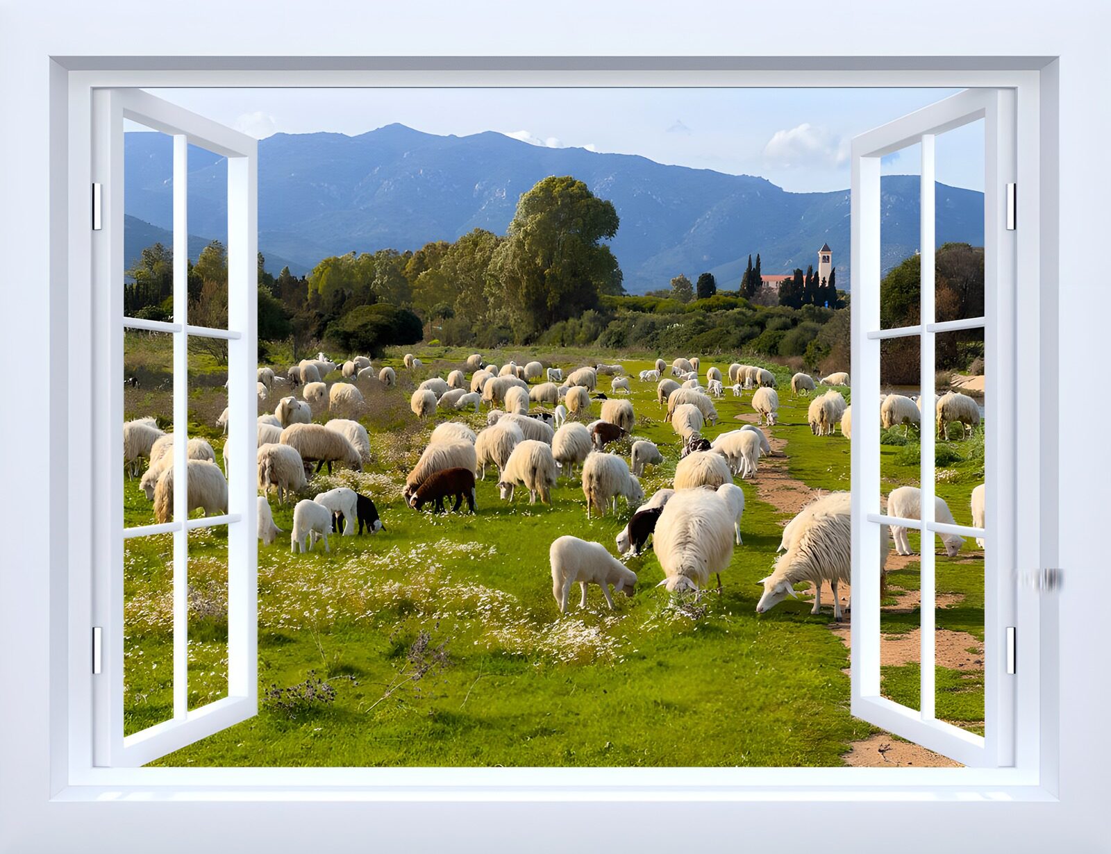 TP44623: Uitzicht op grazende schapen