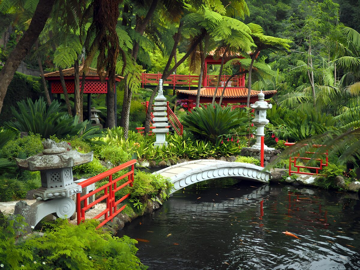 TP71200: Betoverende Japanse tuin