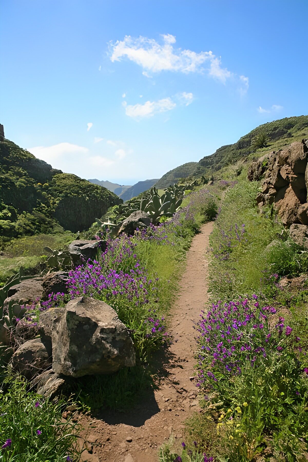 TP94325: La Gomera 7