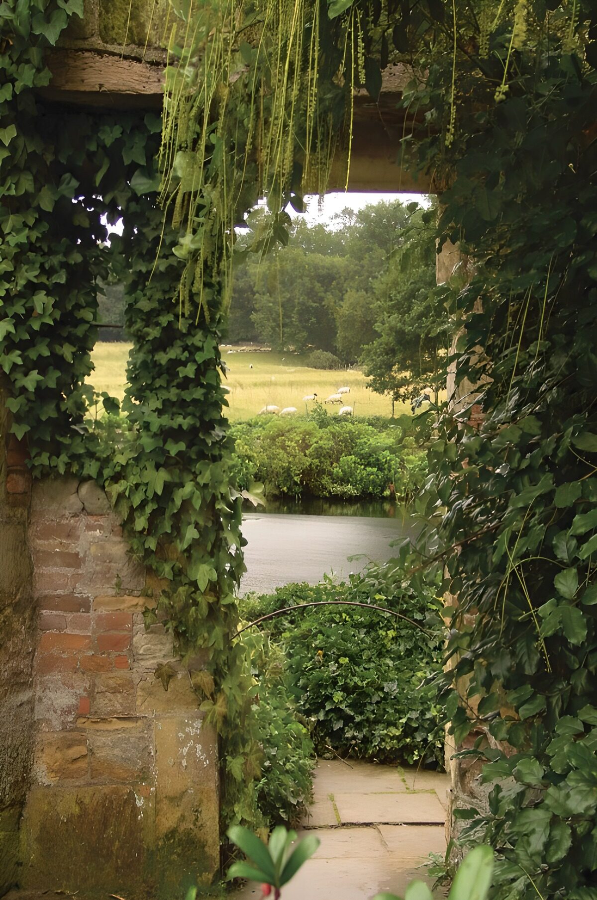 Groene doorgang naar serene natuur
