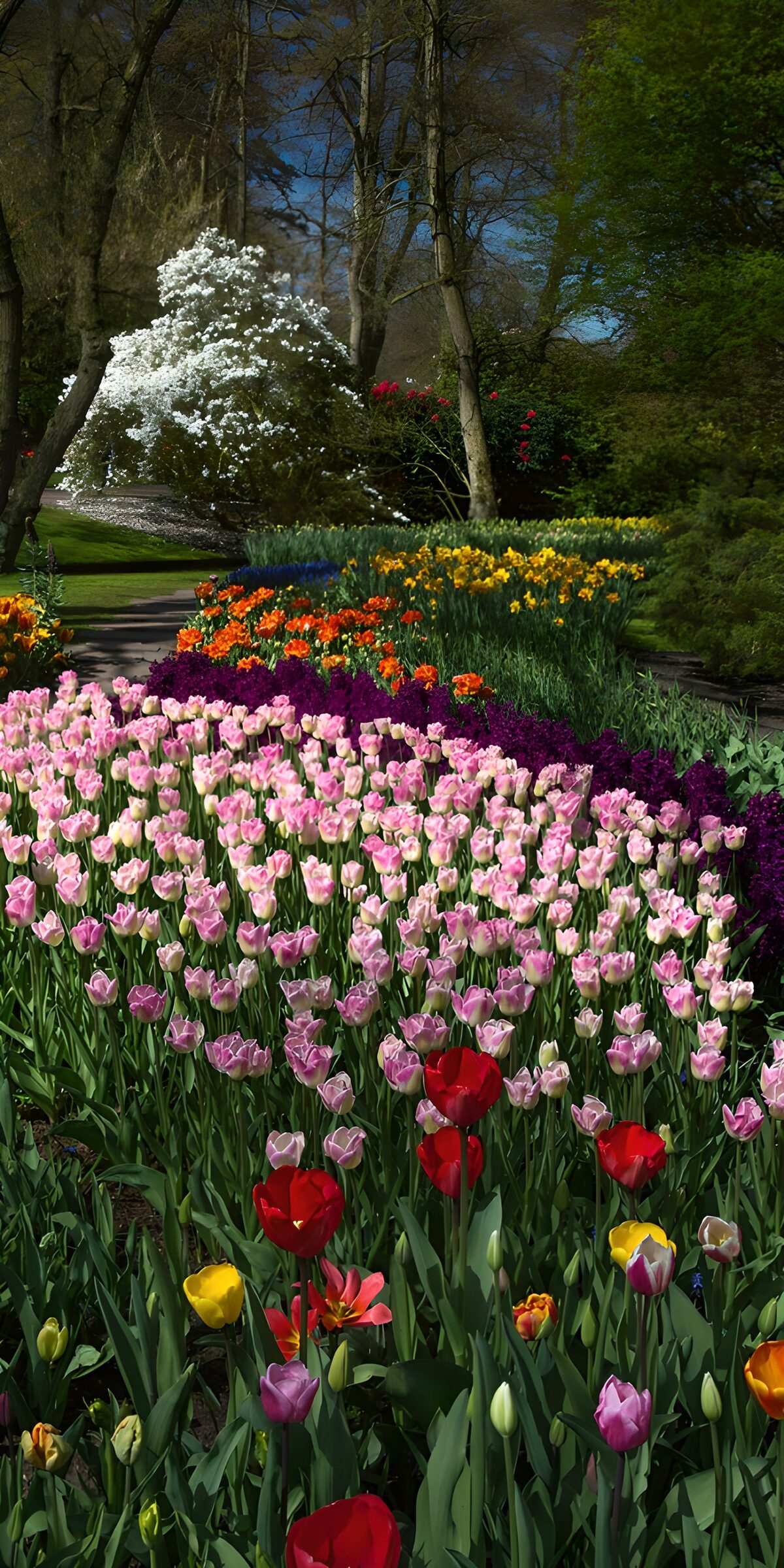 Kleurrijke Lente in de Tuin