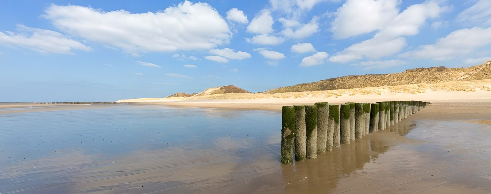 TP89146: Paalhoofden in zee met uitzicht op duinen