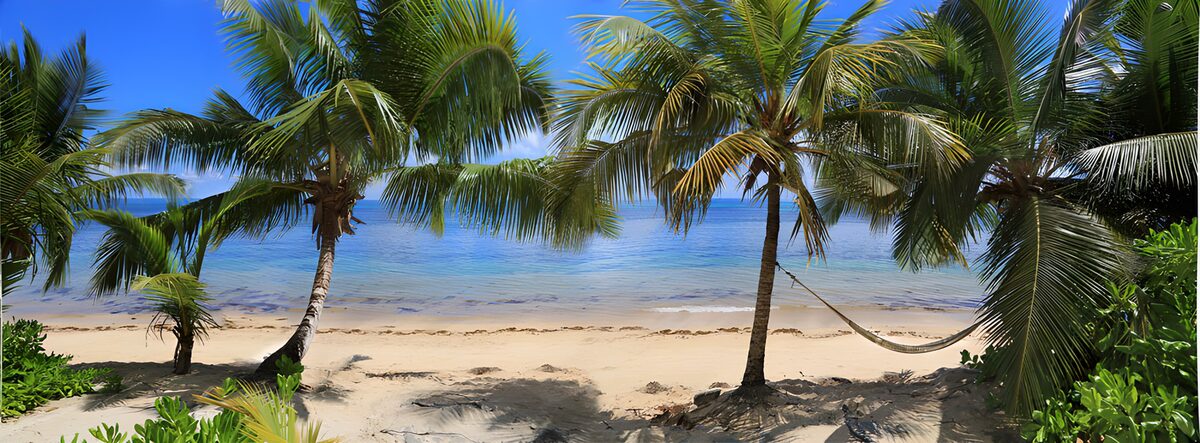TP11464: Tropische strand met palmbomen en hangmat