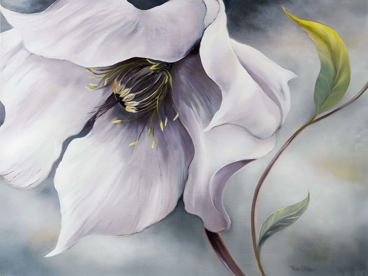 Schitterende Witte Bloem