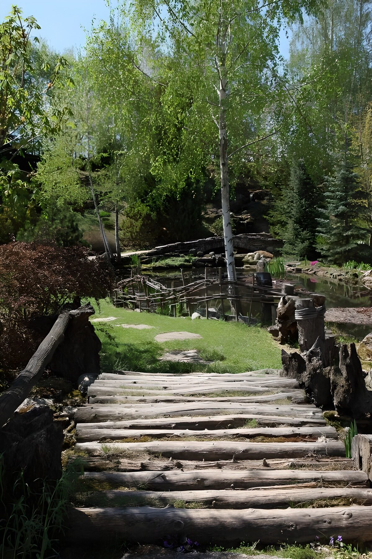 Wandelpad naar de serene vijver
