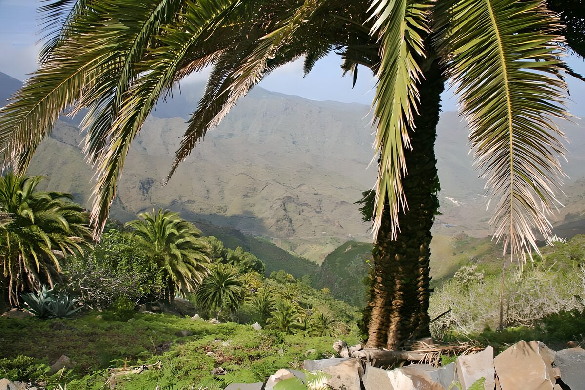 La Gomera 18