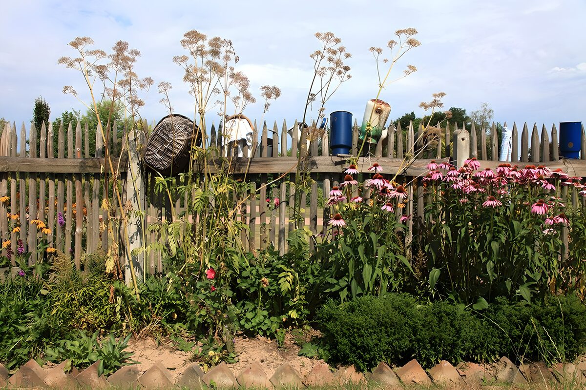 Bloeiende tuin met houten hek en planten