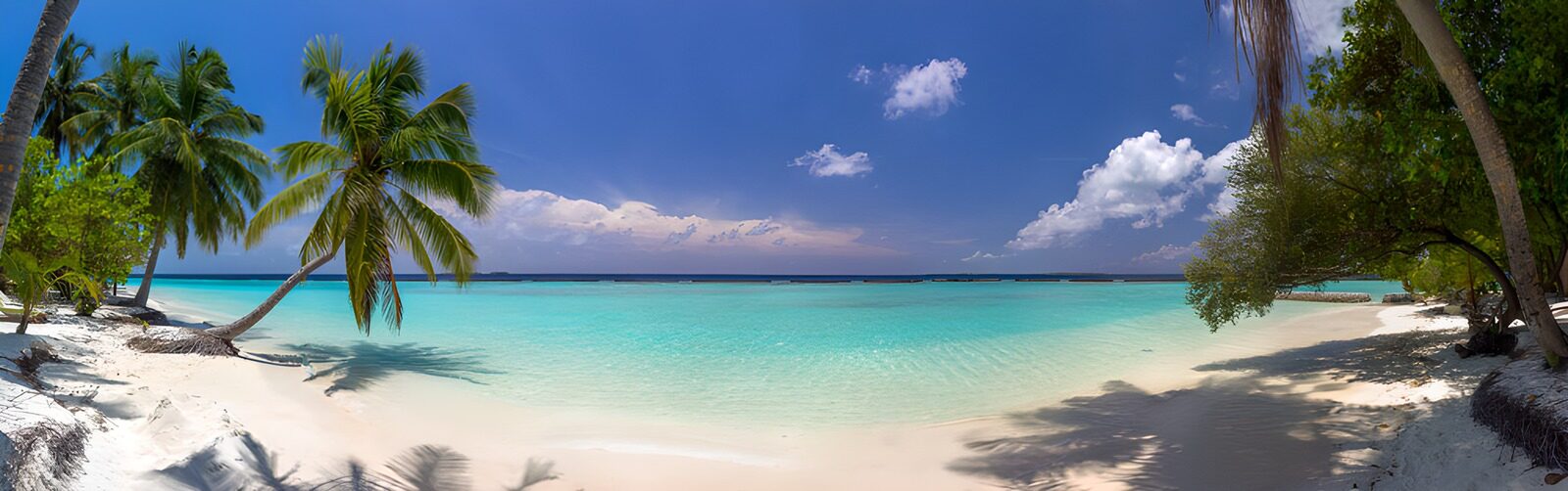 TP28879: Idylisch strand met overhangende palmboom