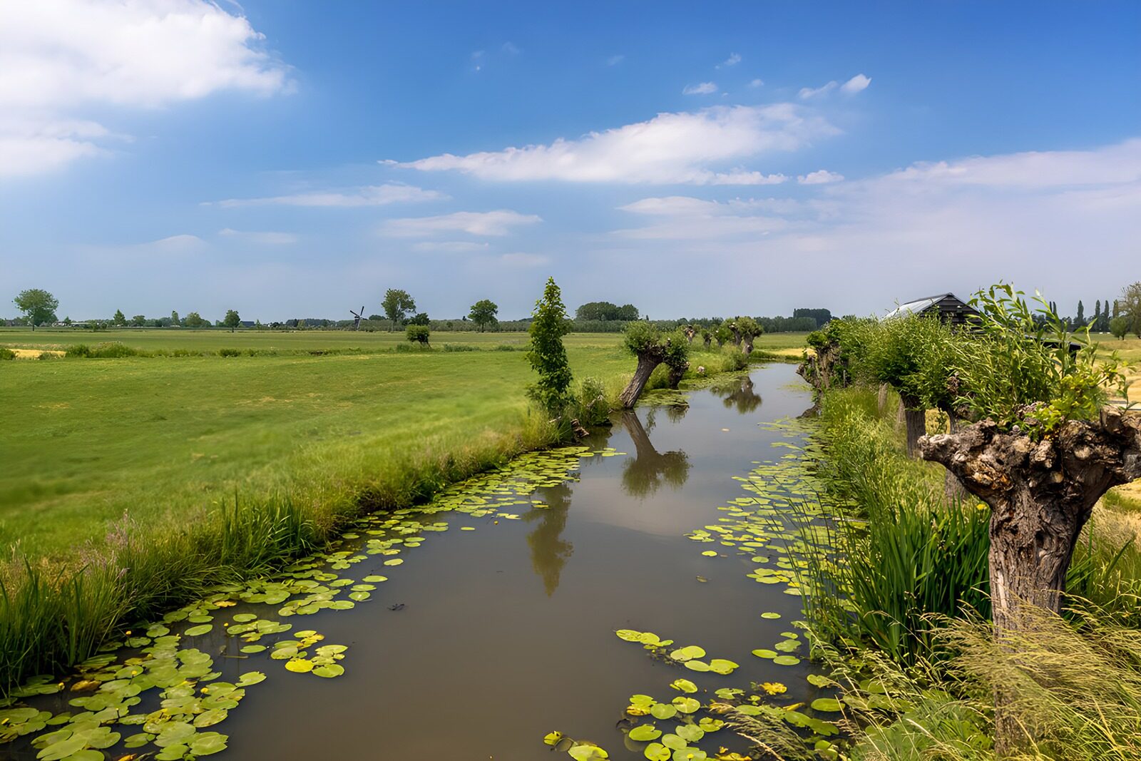 TP83780: Rustige rivier omringd door groen