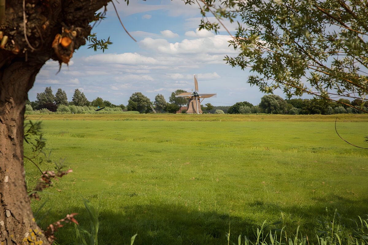 TP19695: Windmolen in het Groene Grasland