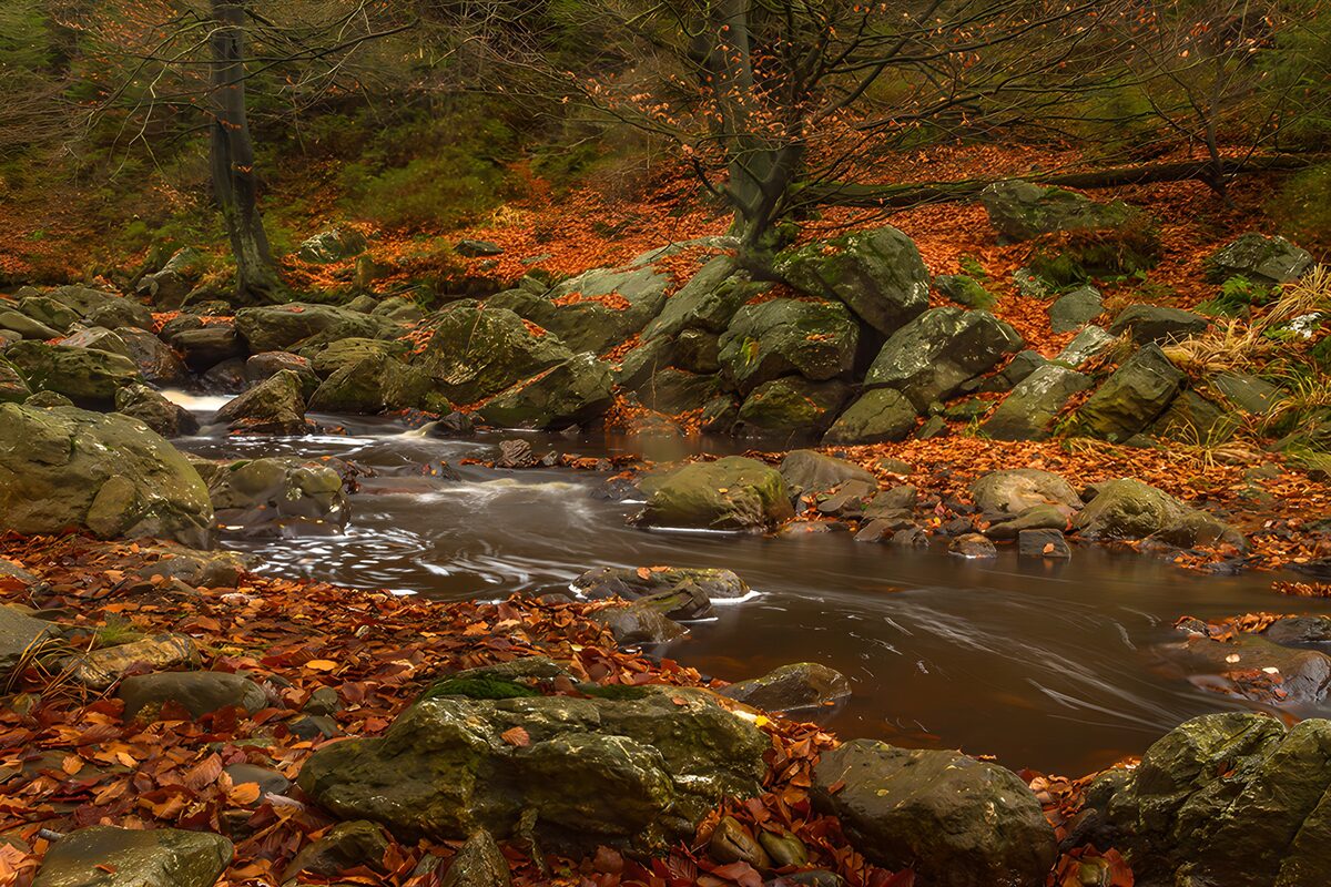 Stromend water tussen herfstbladeren