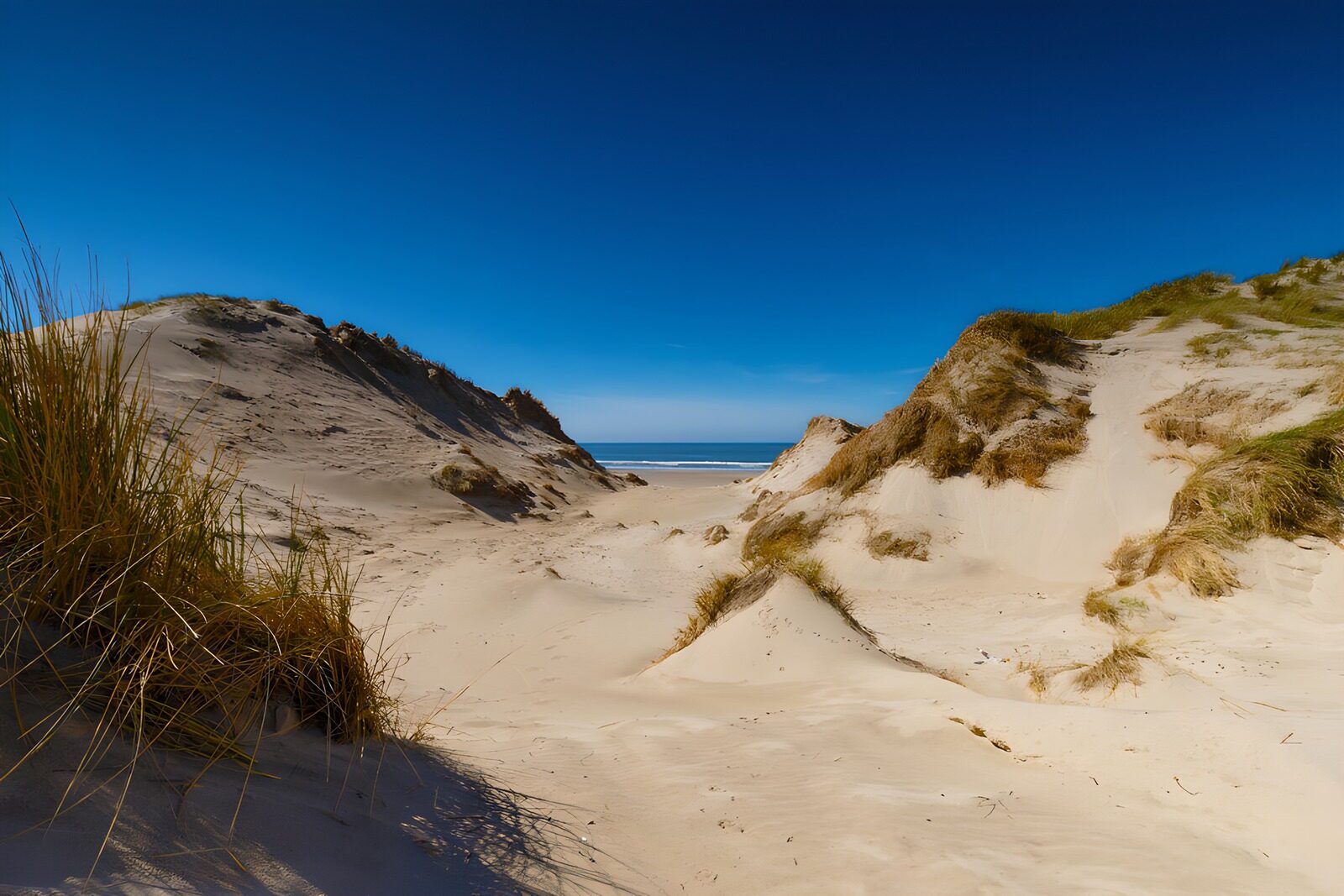 TP56314: Rustige Duinen langs het Strand