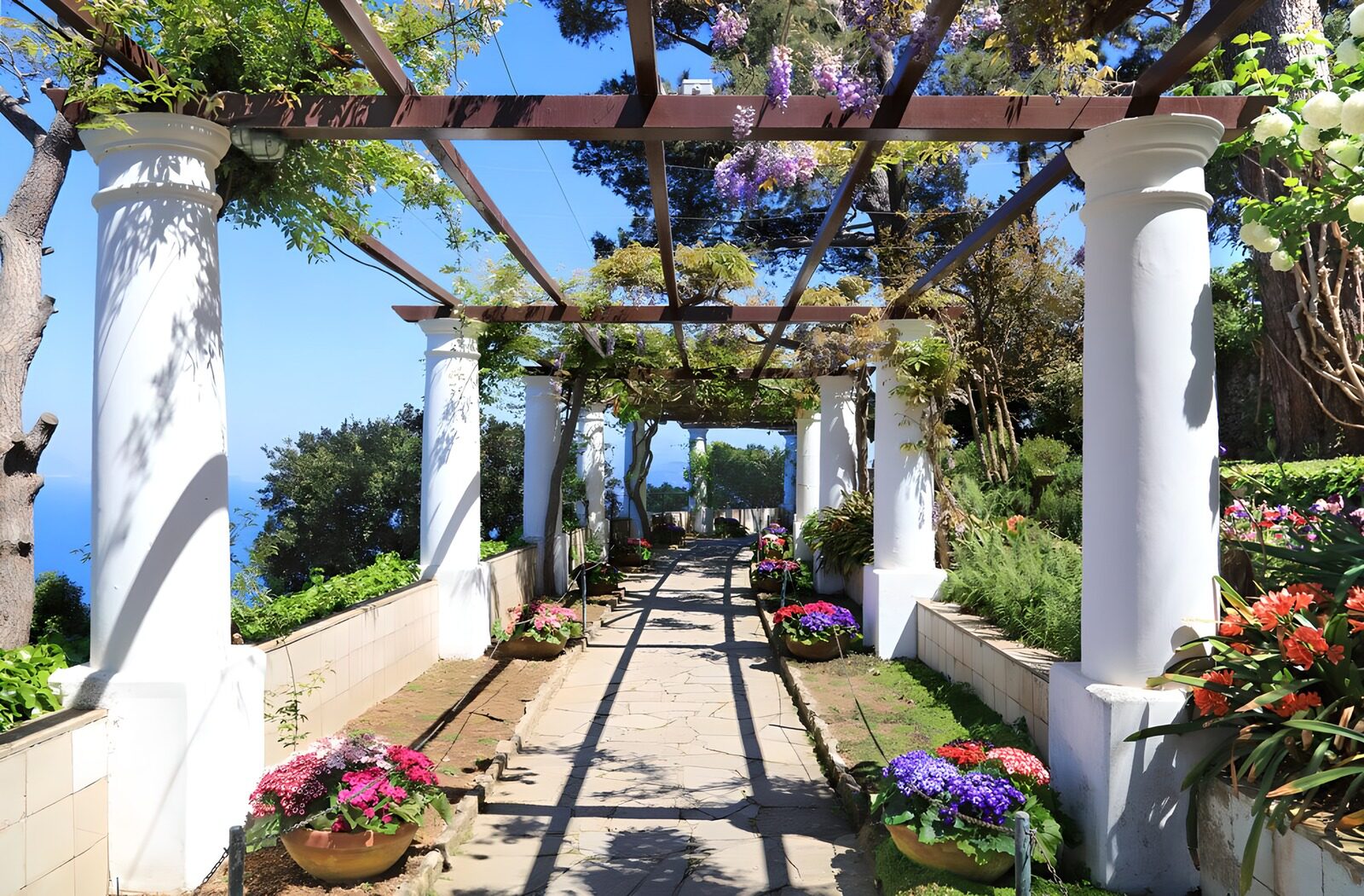 TP21111: Prachtige bloementuin met pergola