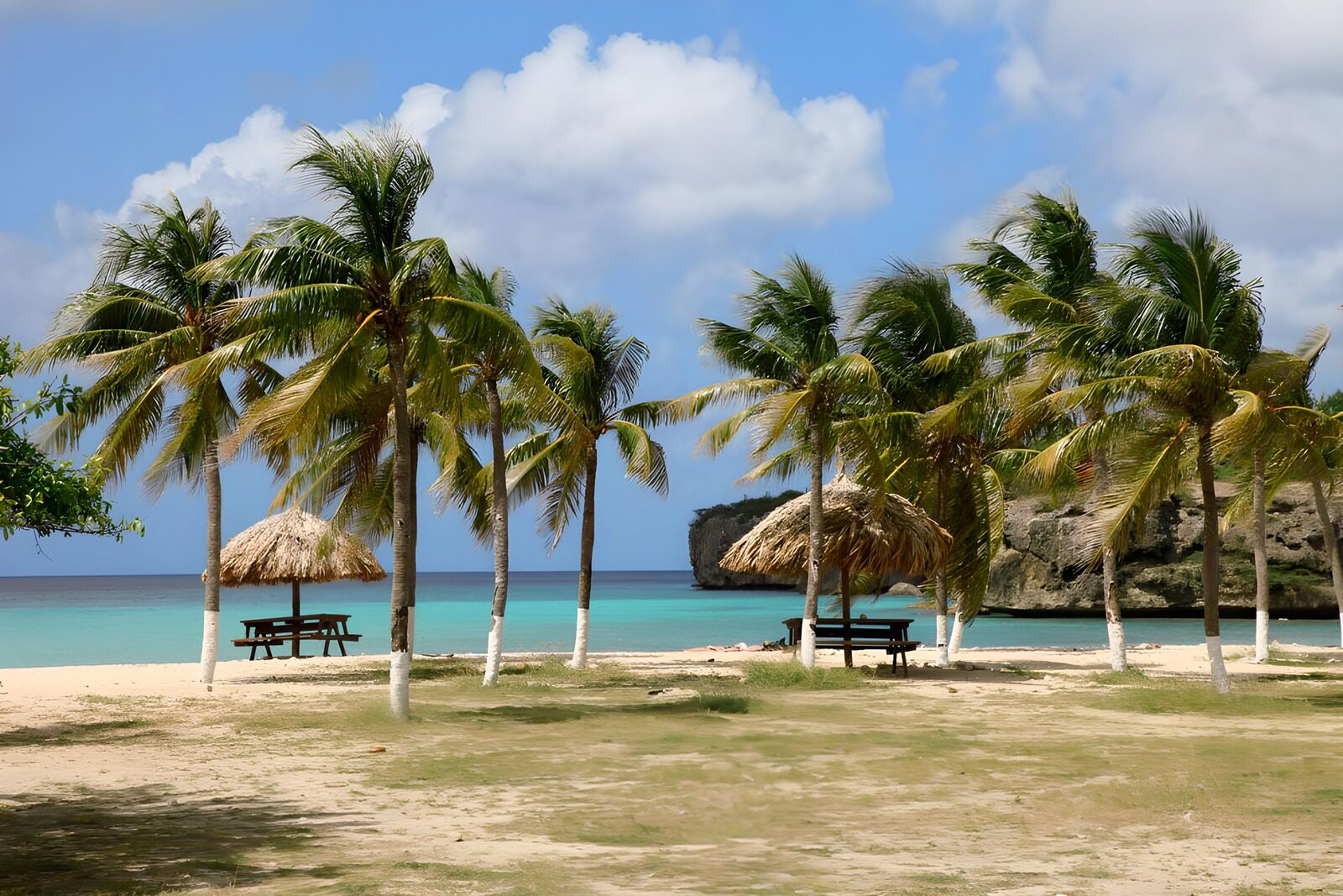 TP98833: Palmbomen bij strand